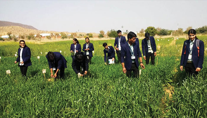 Agriculture